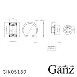 Подшипник ступицы передний FORD Focus-1 / Fiesta без  ABS GANZ GIK05180