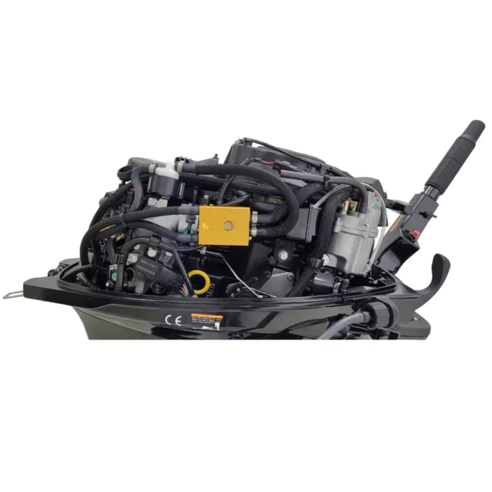 Лодочный мотор Parsun F9.9 ABMS EFI PRO (20)