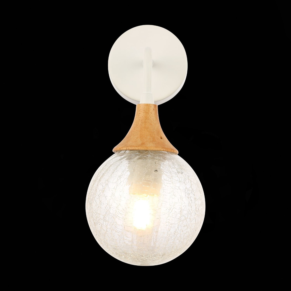 Светильник настенный ST Luce Lione SLE109501-01