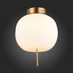 Светильник потолочный ST Luce Lacus SL1621.202.01