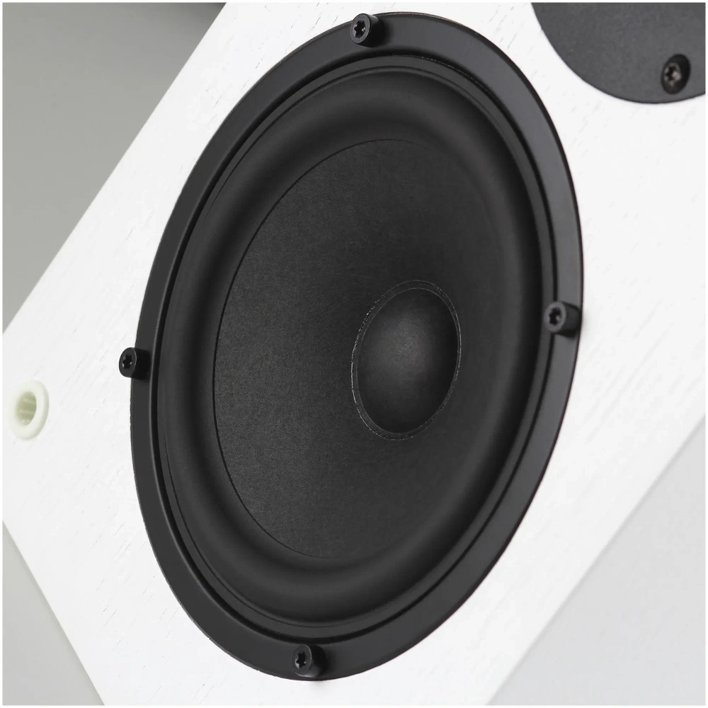 Radiotehnika Vita 2.04 White Ash полочная профессиональная акустическая система (пара)