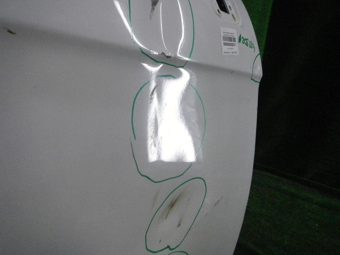 DSCN9088.JPG
