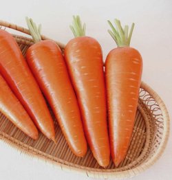 Морковь Абако F1  0,5г Мировые Семена VITA GREEN