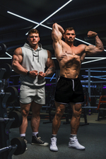 Шорты Training Shorts HERO 295 Серые