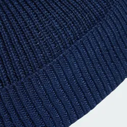 Шапка adidas Originals EV.IC BEANIE