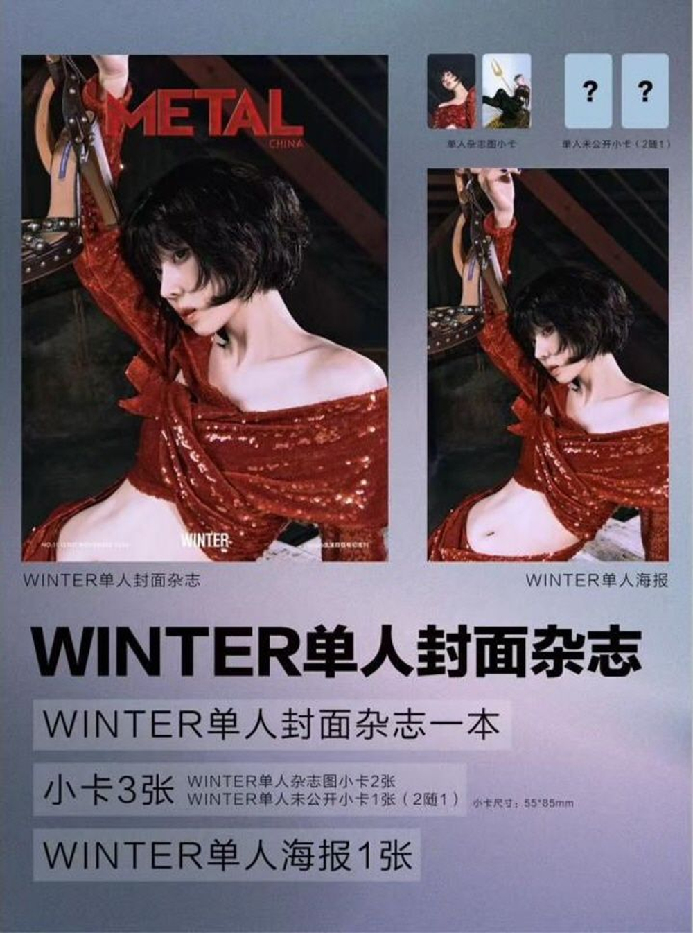публикация METAL (CHINA) - 2024.11 aespa WINTER D Type