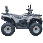 Квадроцикл Bashan BS200AU-19 черный