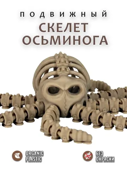 Скелет Осьминога