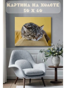 Картина на стену 40 X 50 Кошка