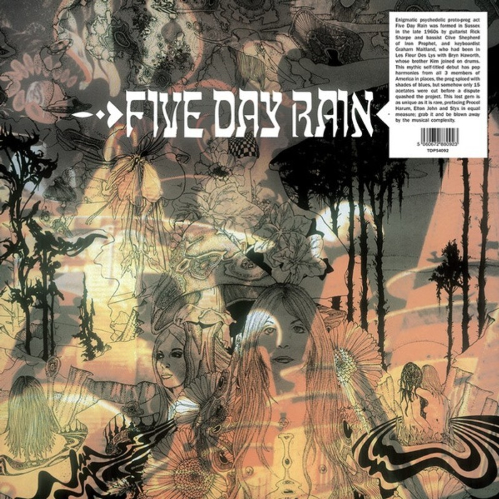 Five Day Rain / Five Day Rain (LP)