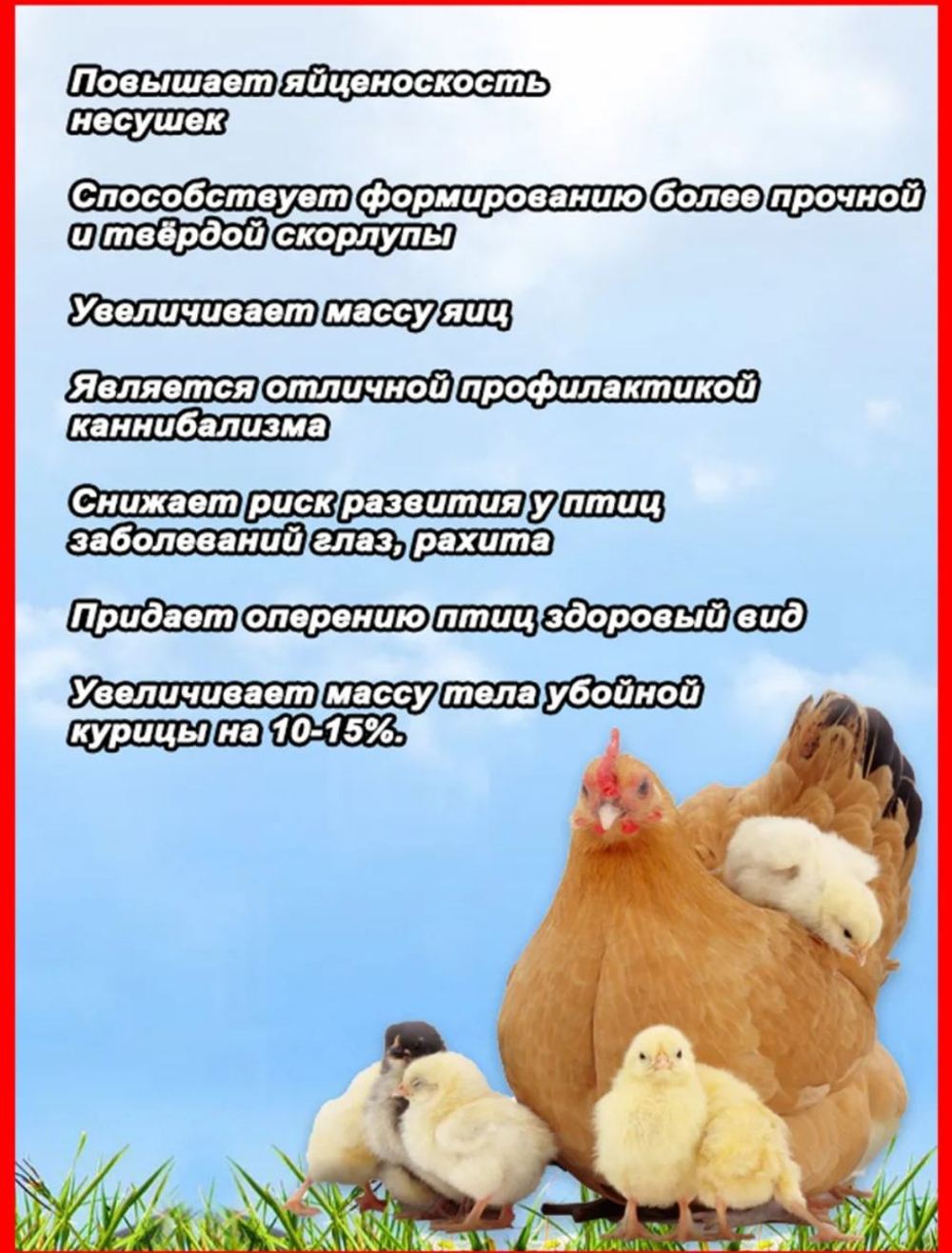 Рябушка эконом 500г  Витаминная добавка для птицы премикс