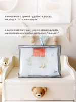 Пеленальный матрасик RANT "Goose" White (70х70) с сумкой, oxford