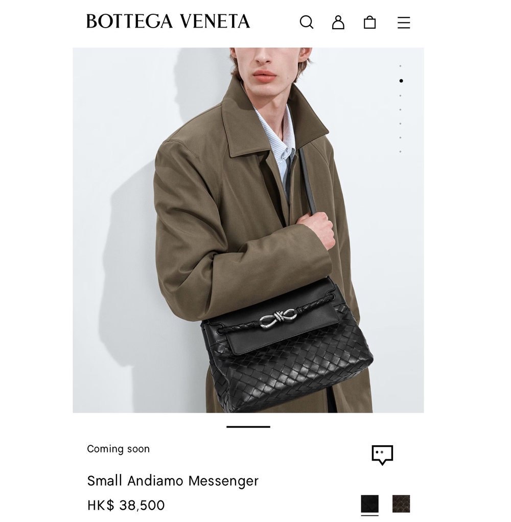Сумка через плечо Bottega Veneta Small Andiamo