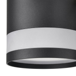 Потолочная люстра Lumion LANIKA 8240/8C