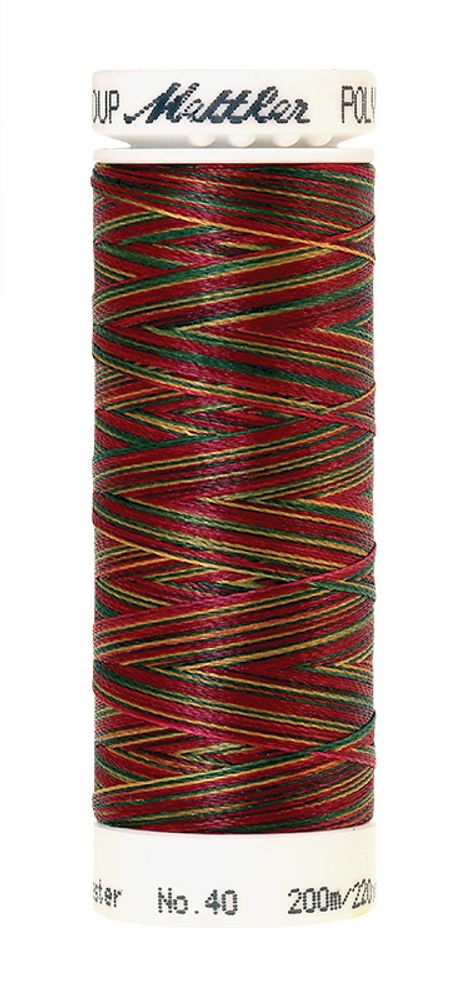 Нить вышивальная Mettler Poly Sheen Multi 40 (200 м), 5 кат. | цв. 9938 Нить вышивальная Mettler Poly Sheen Multi 40 (200 м), 5 кат. | цв. 9938