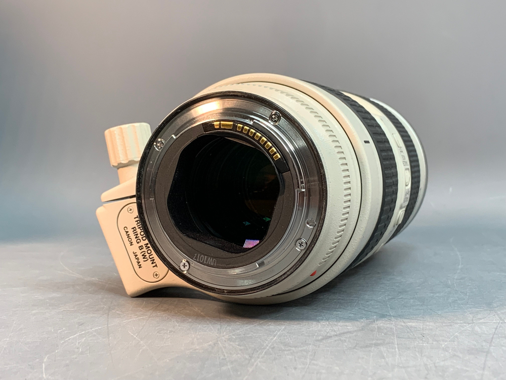 Canon EF 70-200mm f/2.8L IS USM