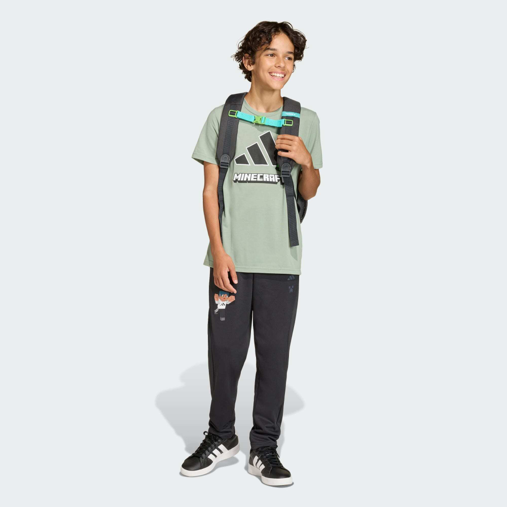 Adidas Брюки Minecraft, черный