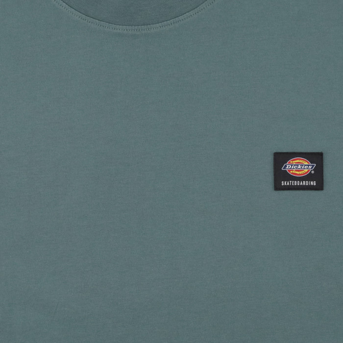 Футболка мужская Dickies Skateboarding Mount Vista Shirt артикул:WSSK6_green - купить в магазине Дайс