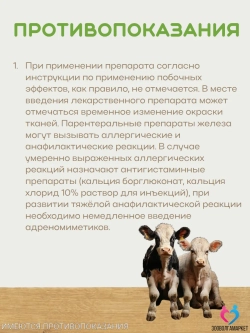 Ферран, железо-витаминный комплекс для животных, 100 мл