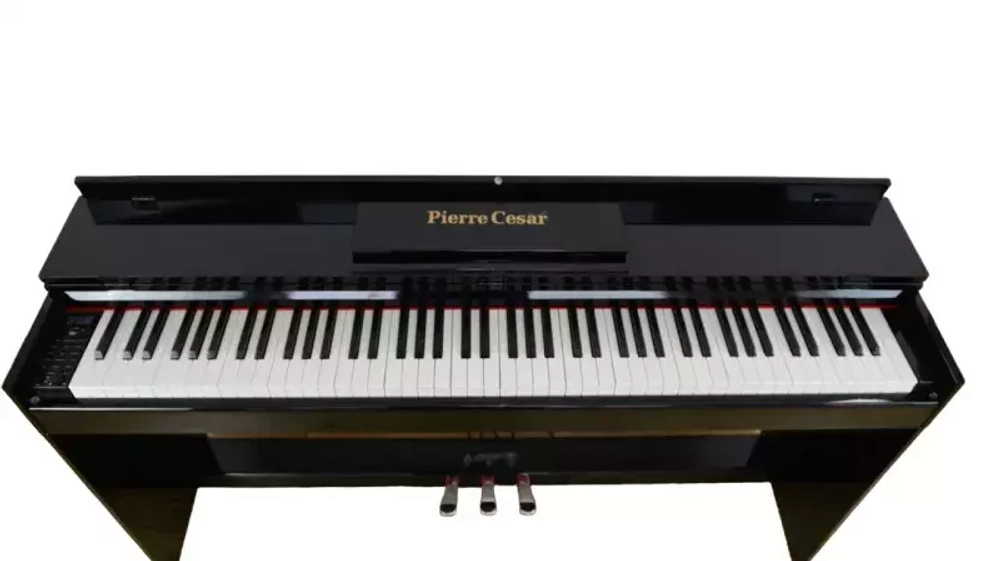 Pierre Cesar XY-8813-H