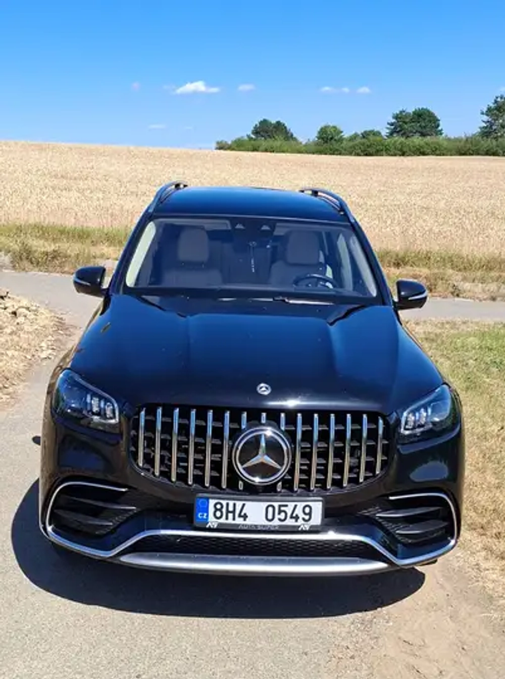 Mercedes-Benz GLS 63 AMG 4MATIC Aut