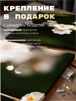 Картина Полевой букет природы модульная 50x70см 3шт.