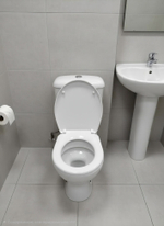 Унитаз компакт Радуга тарельчатый