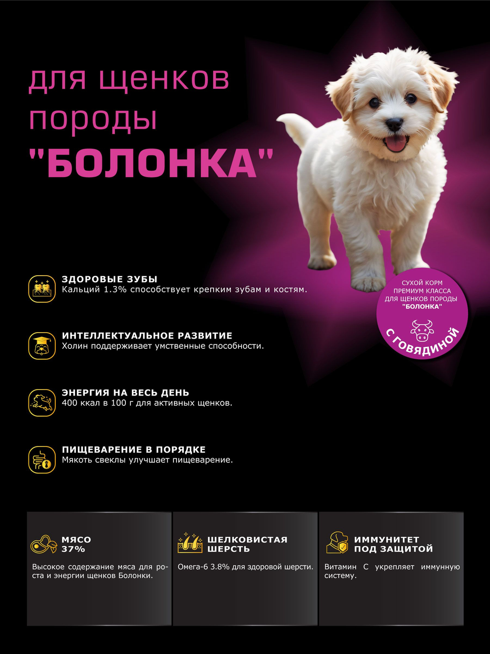 Quattro корм для щенков породы Болонка, с говядиной, 6 кг, QUATTRO