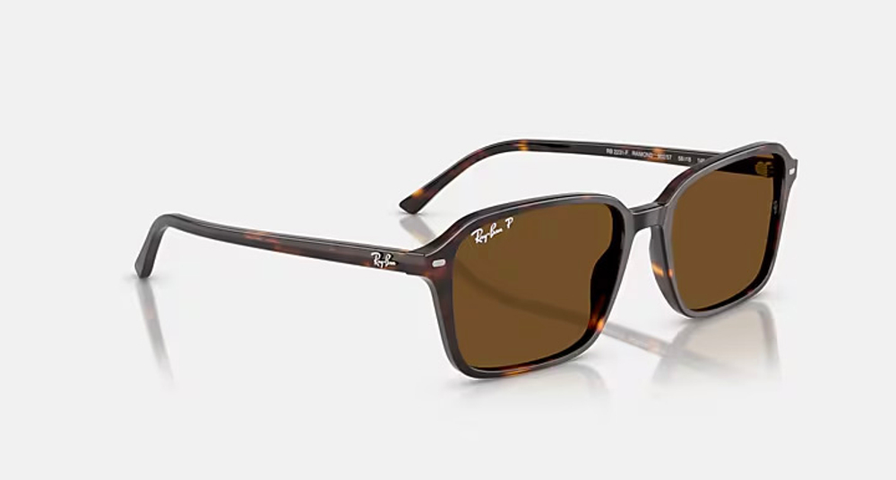 RAY-BAN RAIMOND RB2231-F 902/57