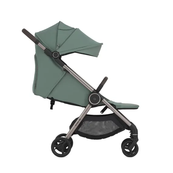 Коляска ANEX iQ Premium 2 в 1 Olly