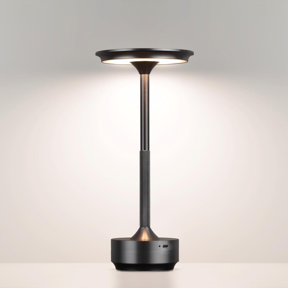 Аккумуляторный светильник Odeon Light TET-A-TET 5034/6TL