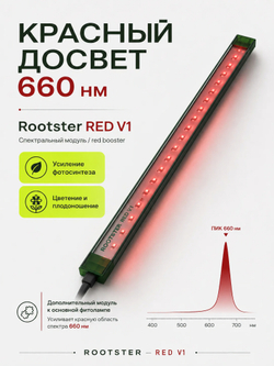 Rootster RED V1