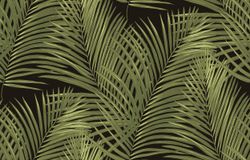 Amazonia / Амазония
