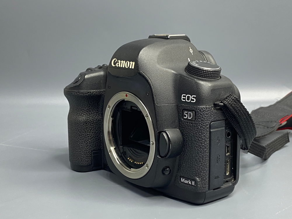 Canon EOS 5D Mark II — 76 000 кадров