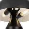 Интерьерная настольная лампа Eleon FR5218TL-02B1 Freya