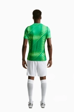 Вратарская футболка Nike Gardien VI Goalkeeper - зеленый