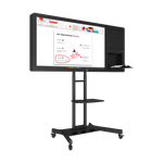Интерактивная панель Horizon Scan c документ-камерой 55"