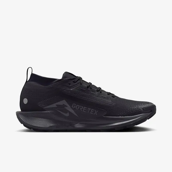 Кроссовки мужские NIKE Pegasus Trail 5 GORE-TEX