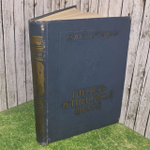 Книга "Витязь в тигровой шкуре"