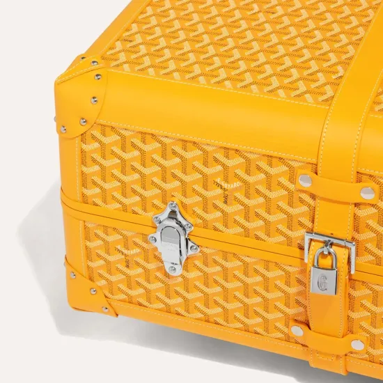 Чемодан Goyard Bourget PM