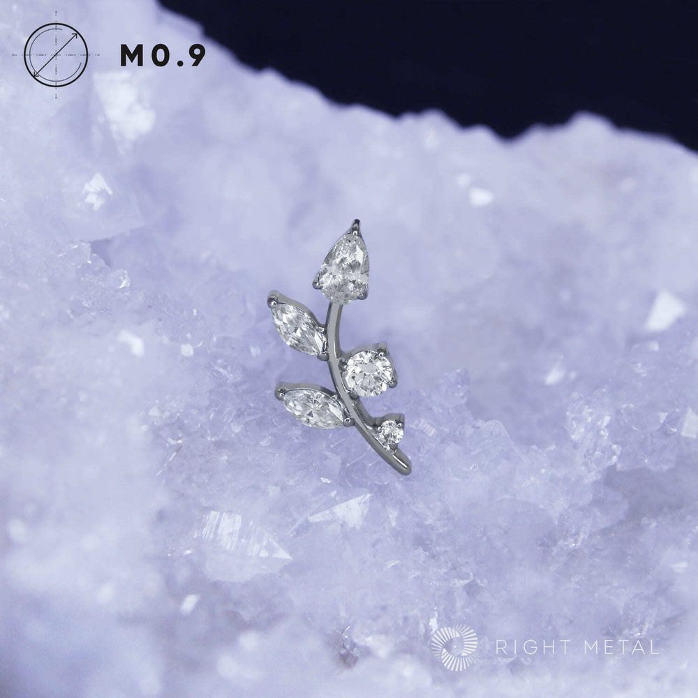 Ramule Crystal Ramule Crystal