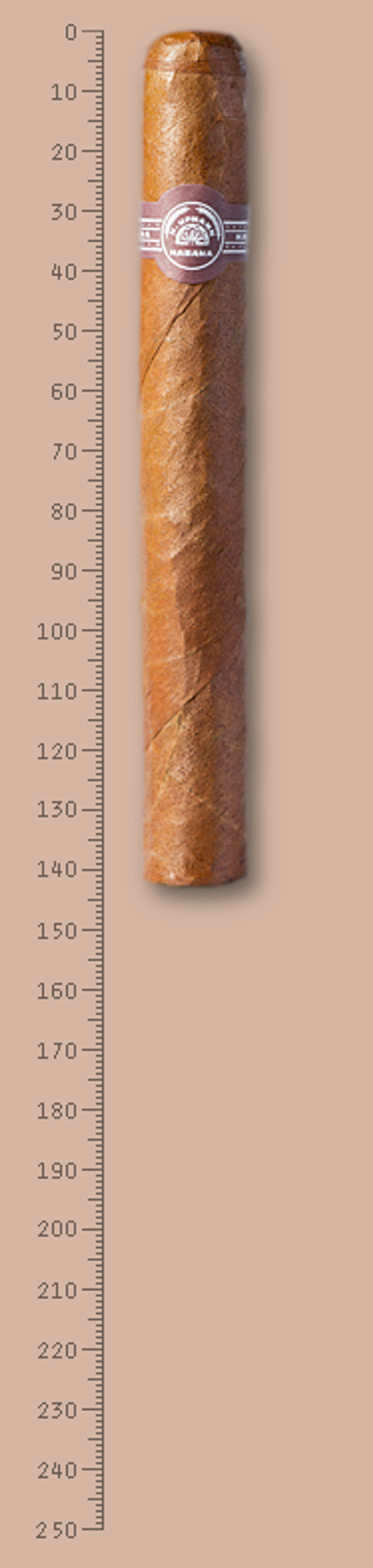 H.Upmann Magnum 46