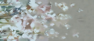 Керамогранит Color Mood Flowery Field 120x278