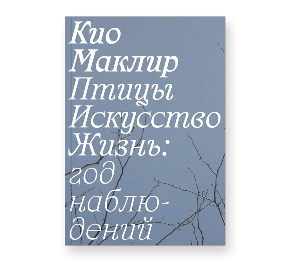Птицы, искусство, жизнь: год наблюдений