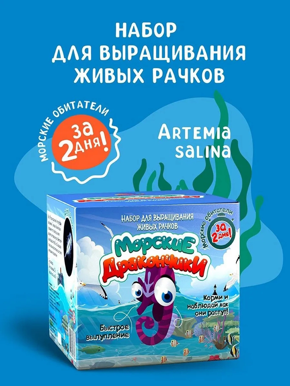 Набор опытов и экспериментов Морские дракончики