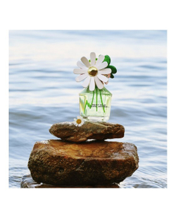 Daisy Wild 100 мл Marc Jacobs Парфюмерная вода