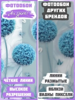 3D Фотообои голубые одуванчики и мрамор