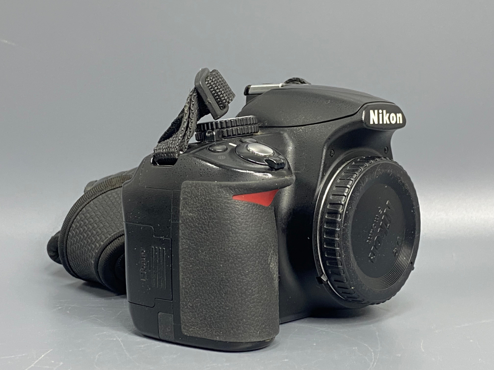 Nikon D3100