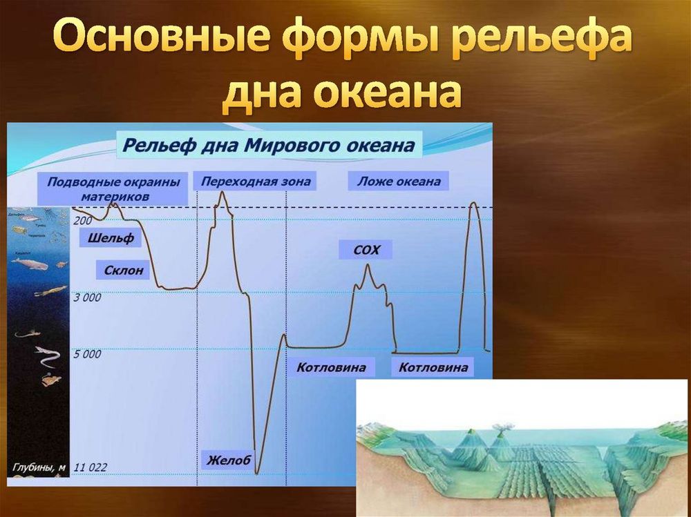 Модель Строение рельефа морского дна — купить по ФГОС | Учебный стандарт