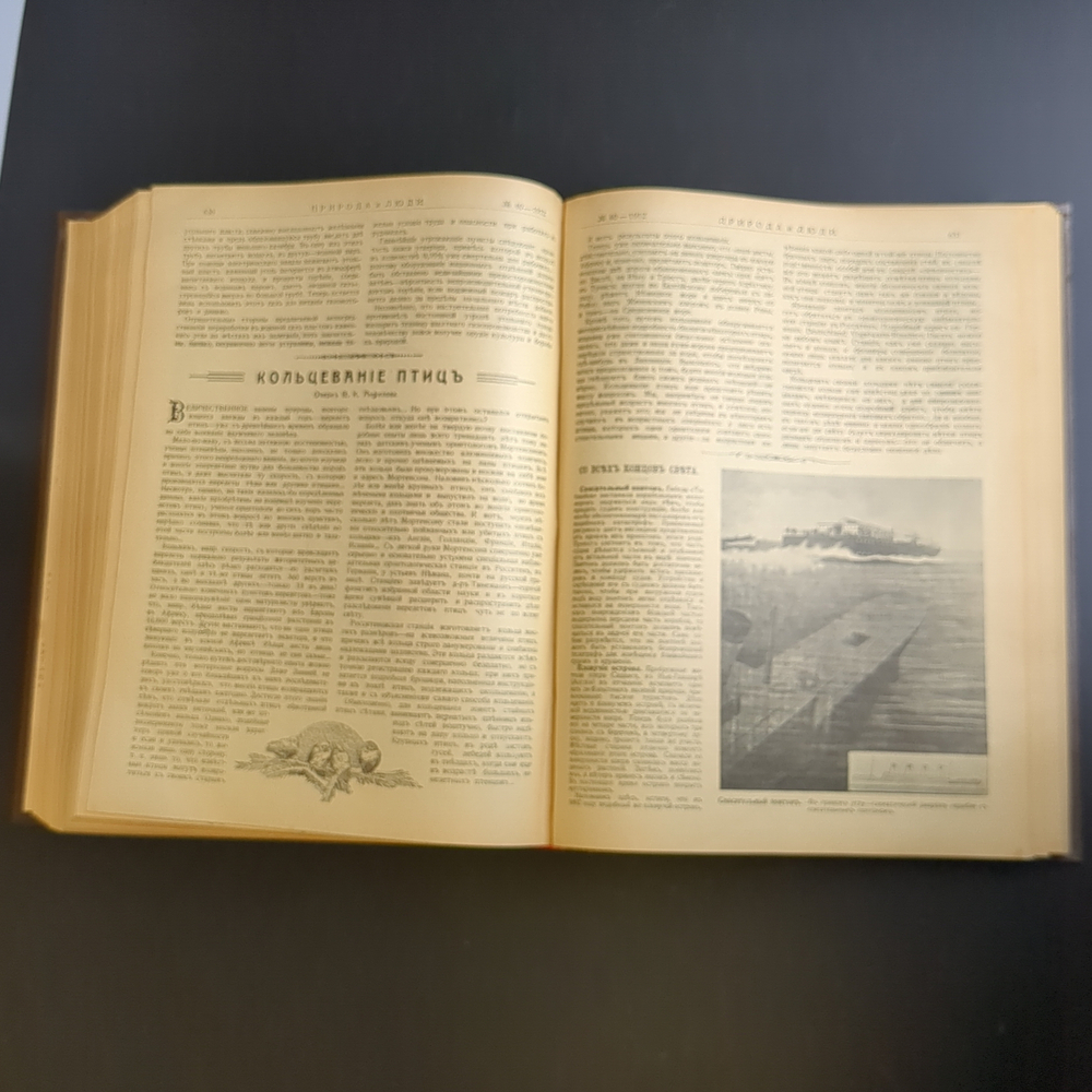 Антикварная старинная книга 1912 года "Природа и люди"
